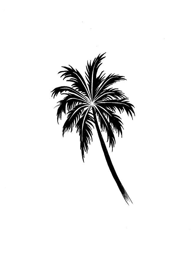 Palms Digital Art - Black Palm Tree by Nicky Kumar
