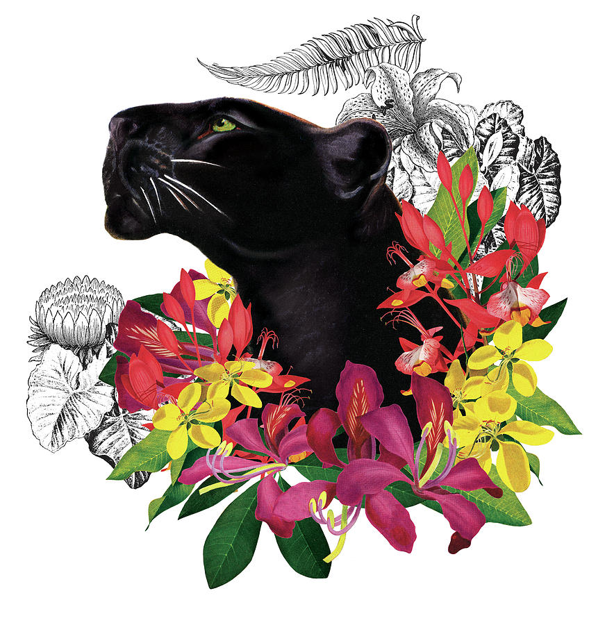 Black Panther And Flowers Drawing by Lynn Bogue Hunt