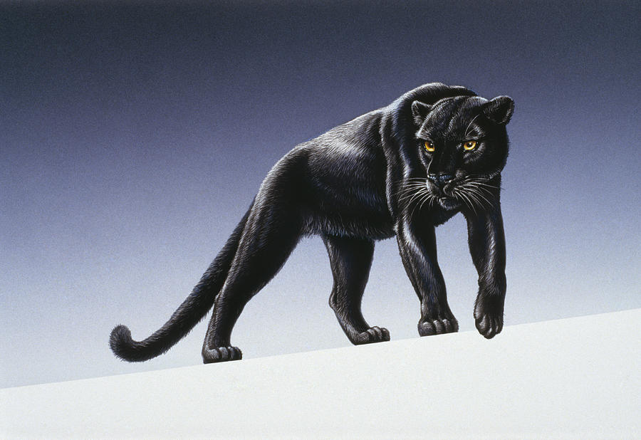 Black Panther Movie Painting - Black Panther by Harro Maass