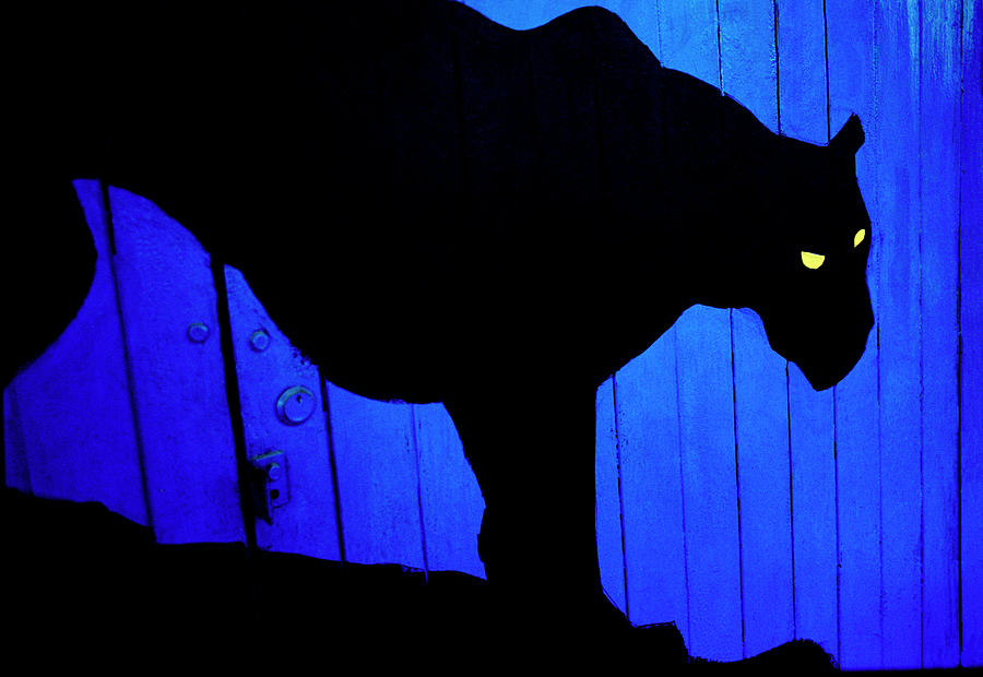 Black Panther by Shaun Higson Black Panther by Shaun Higson