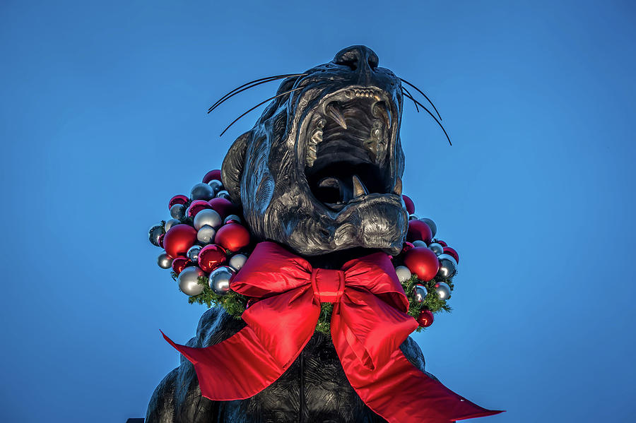 Black Panther Statue Decorated In Christmas Wreath In Charlotte  Photograph by Alex Grichenko
