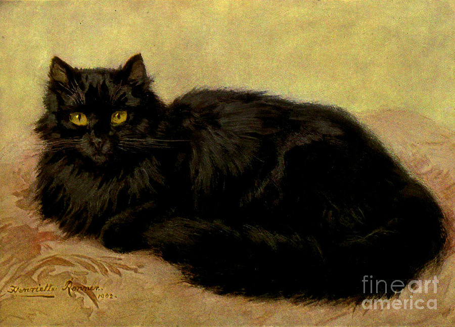 Black Persian Cat Painting by Peter Ogden