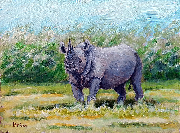 Black rhino Painting by Brian Van der Spuy