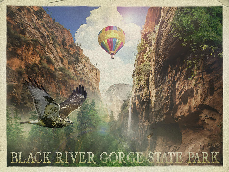 Bird Mixed Media - Black River Gorge by Old Red Truck