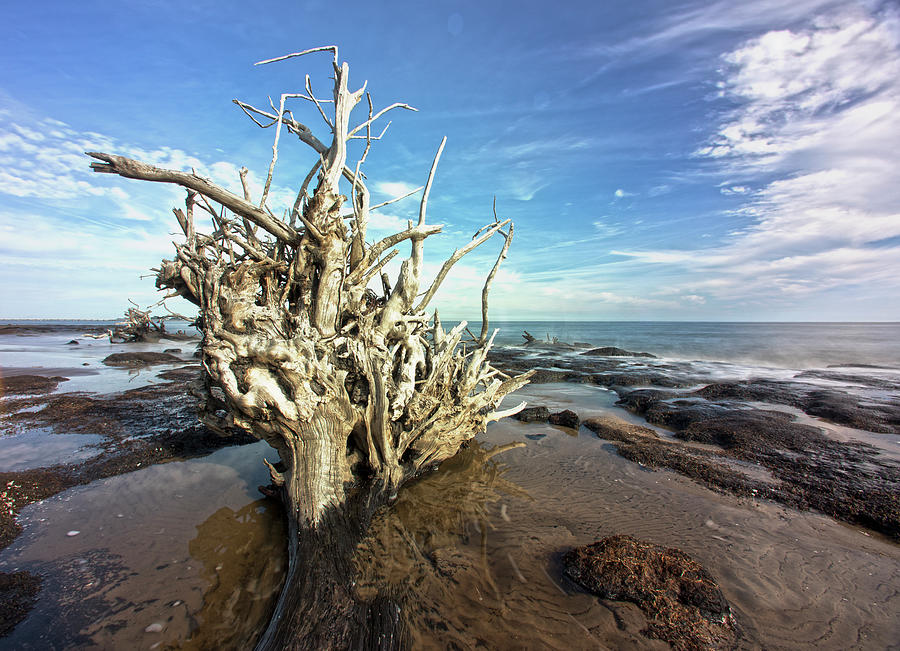 Black Rock Find by Robert Och Black Rock Find by Robert Och