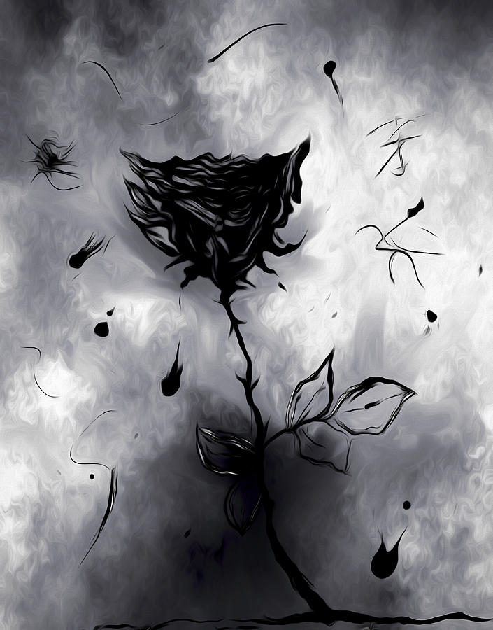 black rose art