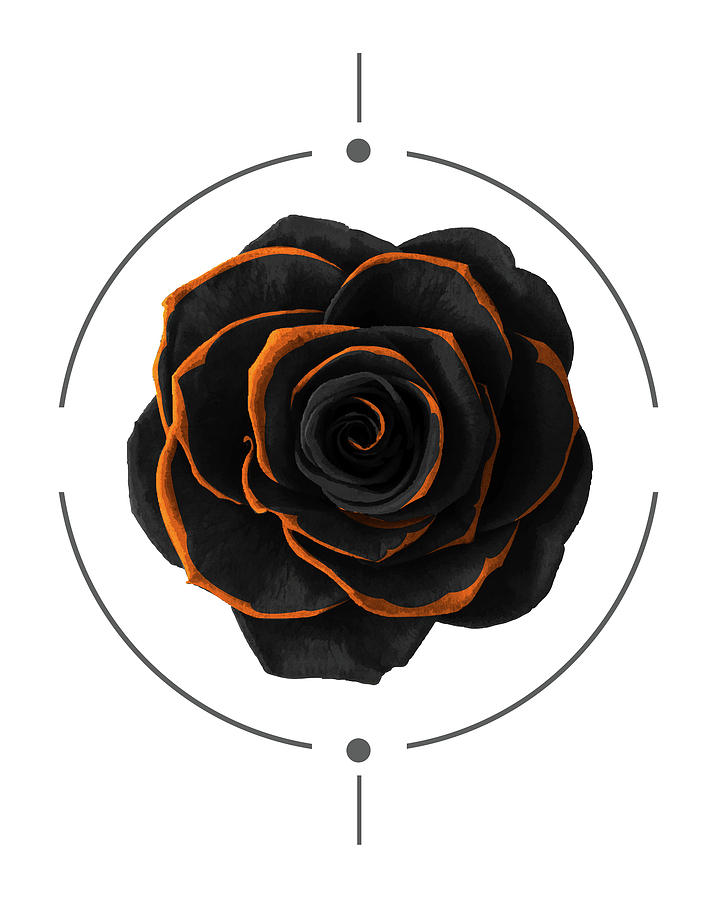 Black Rose - Black and Gold Rose - Death - Minimal Black and Gold Decor - Dark Mixed Media by Studio Grafiikka