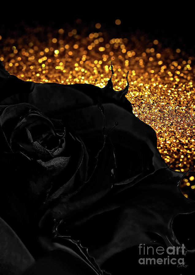 Black Rose Digital Art by Mo T