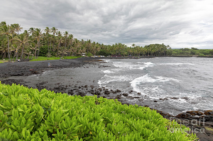 Black Sand Beach Photograph by Jim West/science Photo Library