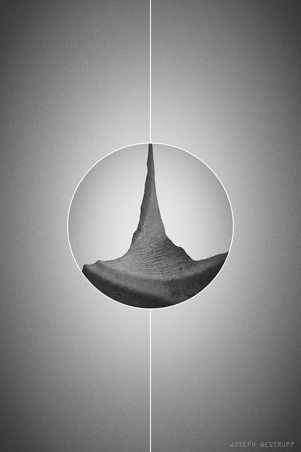 Black Sand - Surreal Abstract Seashell With Lines by Joseph Westrupp Black Sand - Surreal Abstract Seashell With Lines by Joseph Westrupp