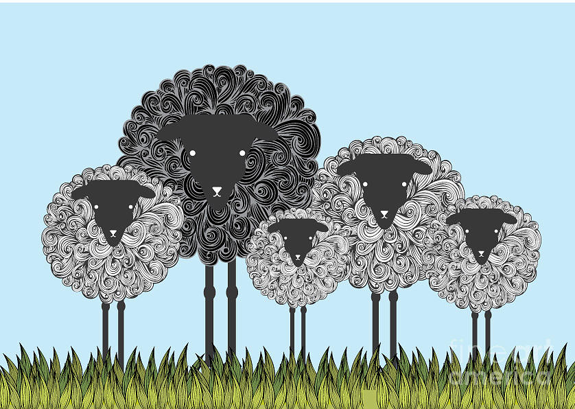 Wool Digital Art - Black Sheep Illustrationvector by Lyeyee Wool Digital Art - Black Sheep Illustrationvector by Lyeyee