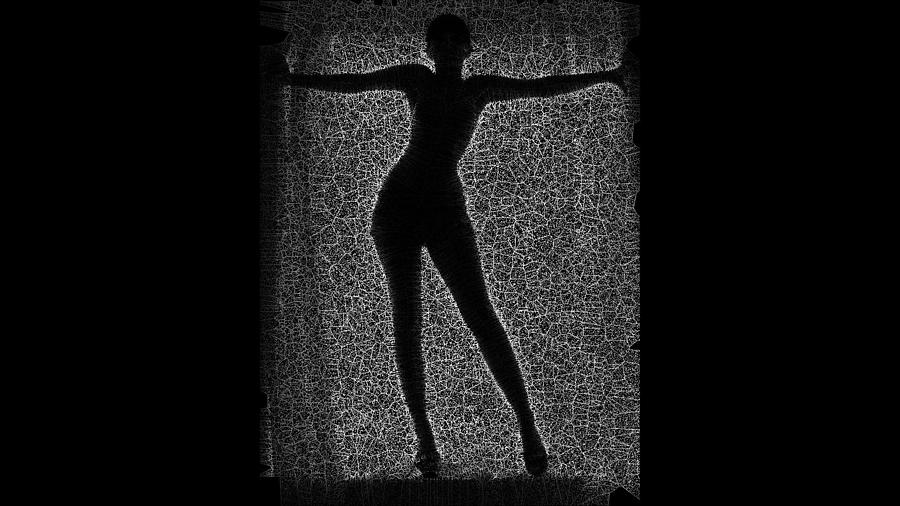 Black Silhouette Digital Art by Stephane Poirier