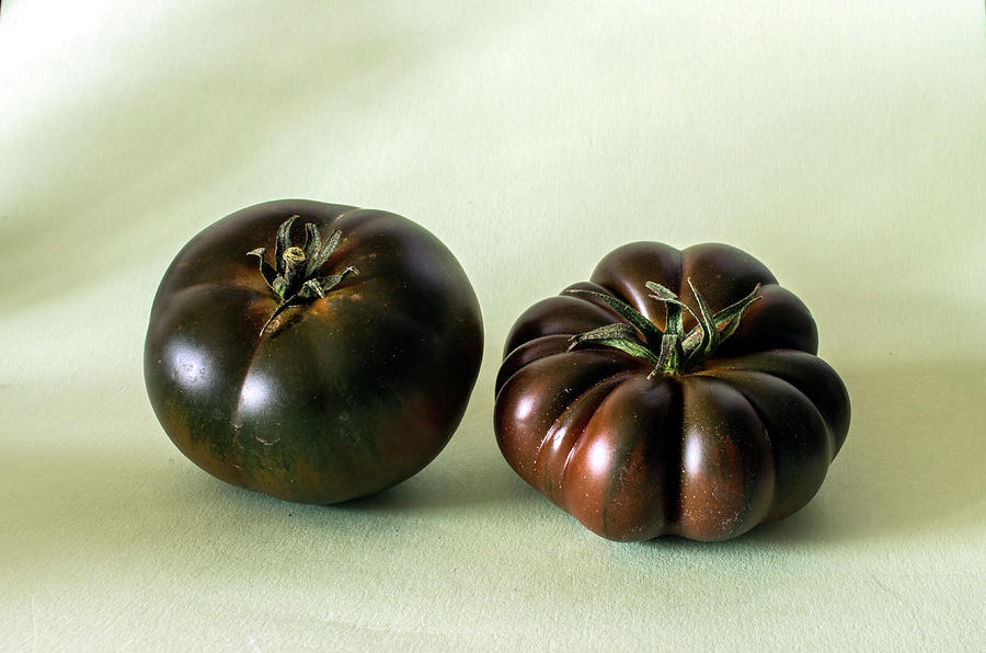 Black Tomatoes by Jarmo Honkanen Black Tomatoes by Jarmo Honkanen