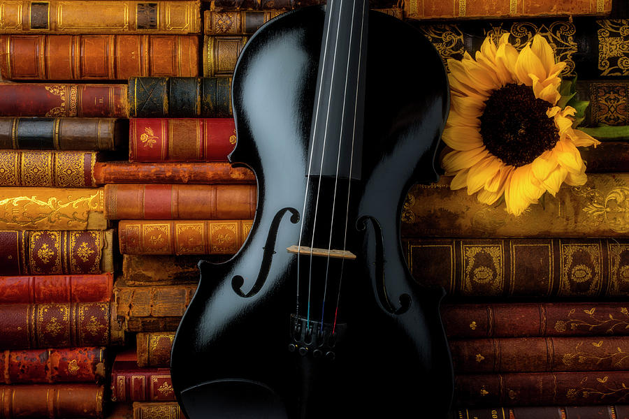 Black Violin And Old Books Photograph by Garry Gay