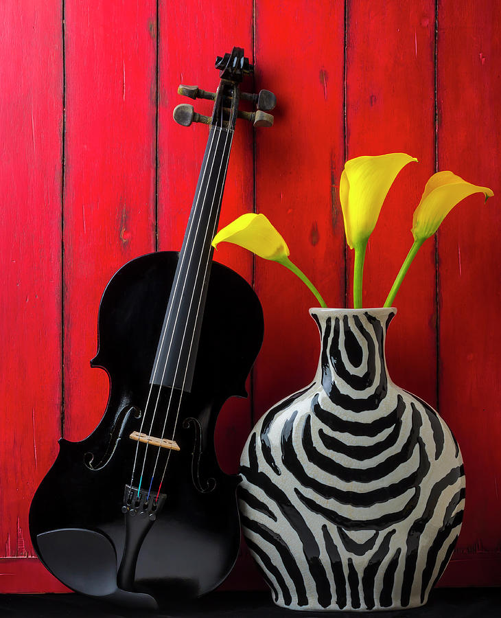 Black Violin And Striped Vase Photograph by Garry Gay