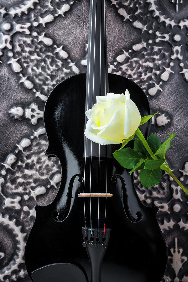 Black Violin And White Rose Photograph by Garry Gay