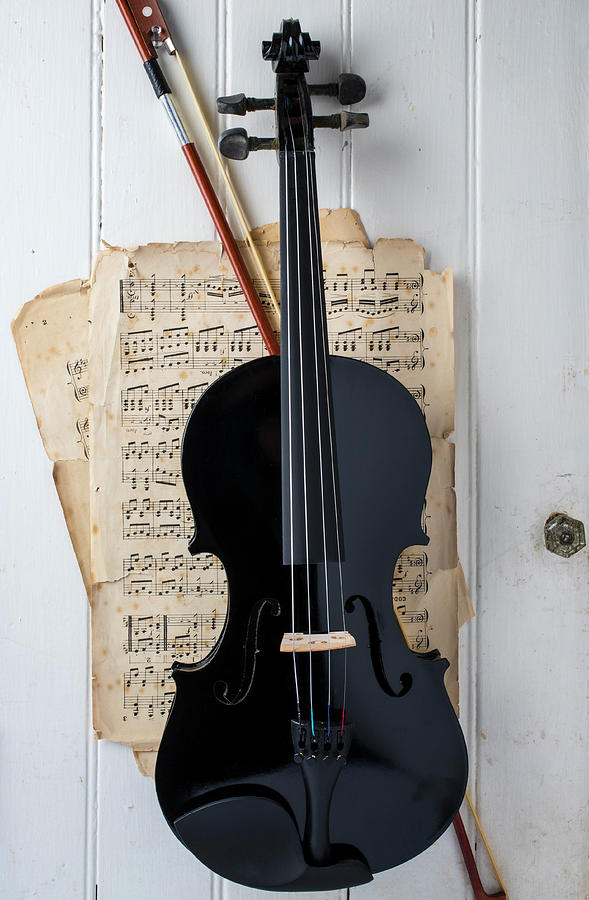 Black Violin Hanging On White Door Photograph by Garry Gay