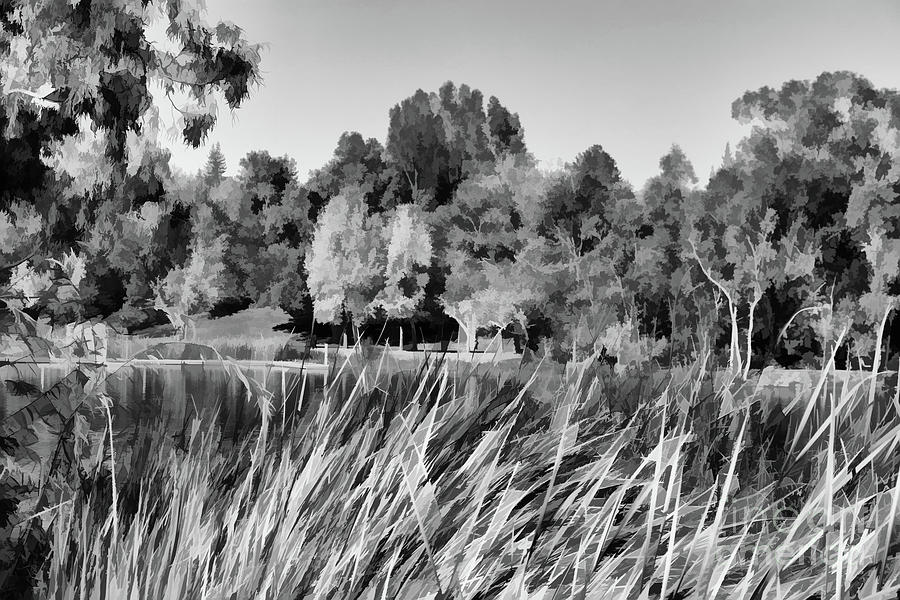 Black White Landscape Fall Lake  Photograph by Chuck Kuhn