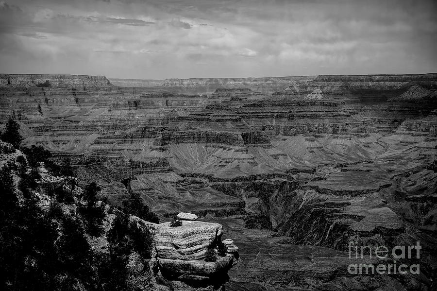 Black White Panorama Grand Canyon  Photograph by Chuck Kuhn