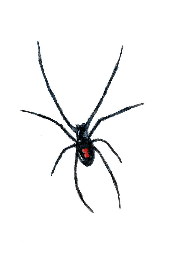 Black Widow Spider Painting by Michael Vigliotti - Pixels