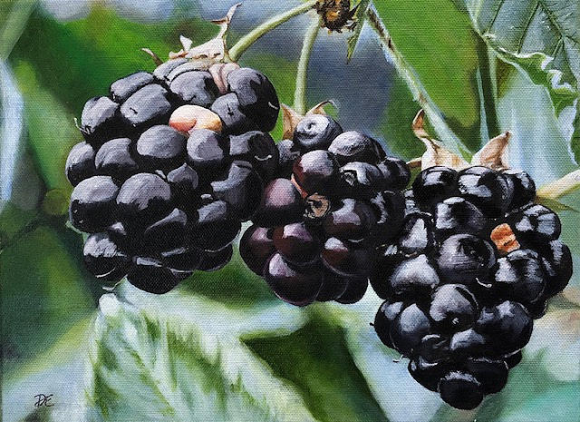 Still Life Painting - Blackberries by Debbie Ebeling