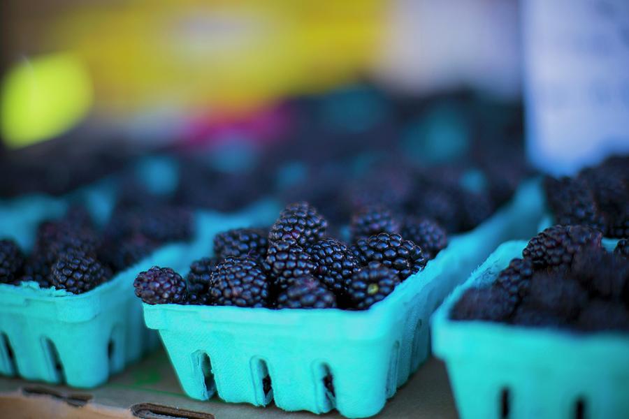 Blackberries In Blue Punnets Photograph by Kent Hwang Photography