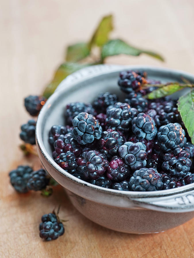 Blackberries In Bowl Photograph by Johner Images