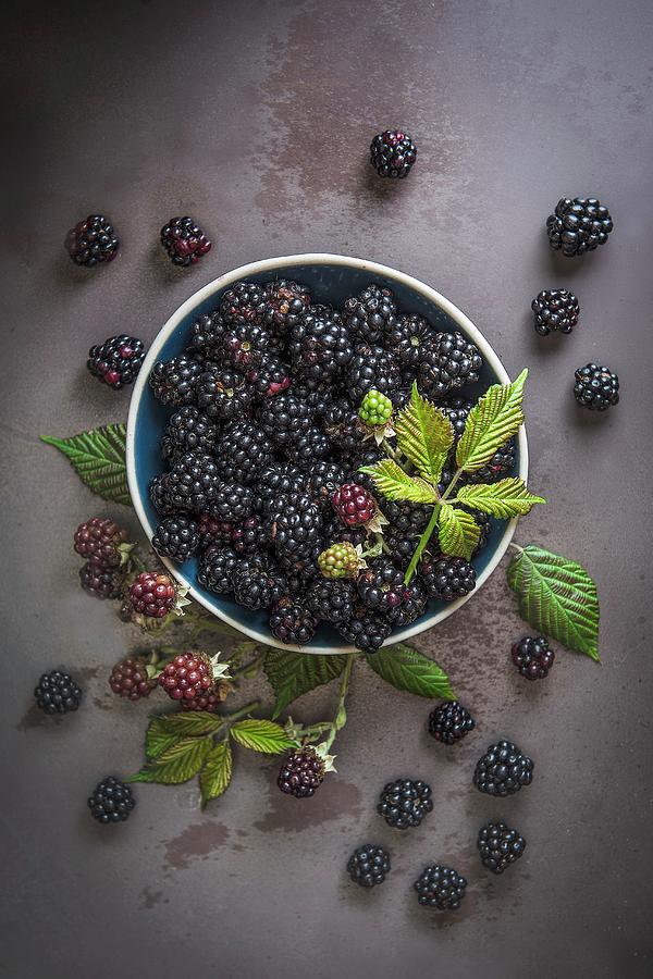 Blackberries Photograph by Magdalena Hendey