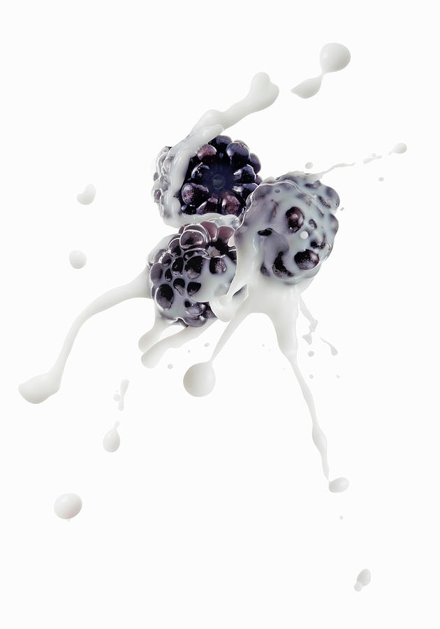 Blackberries With A Splash Of Milk Photograph by Petr Gross