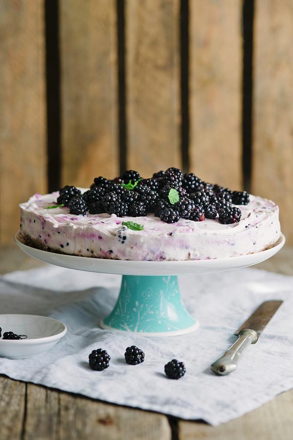 Blackberry And Quark Cake With Fresh Blackberries Photograph by Sarka Babicka