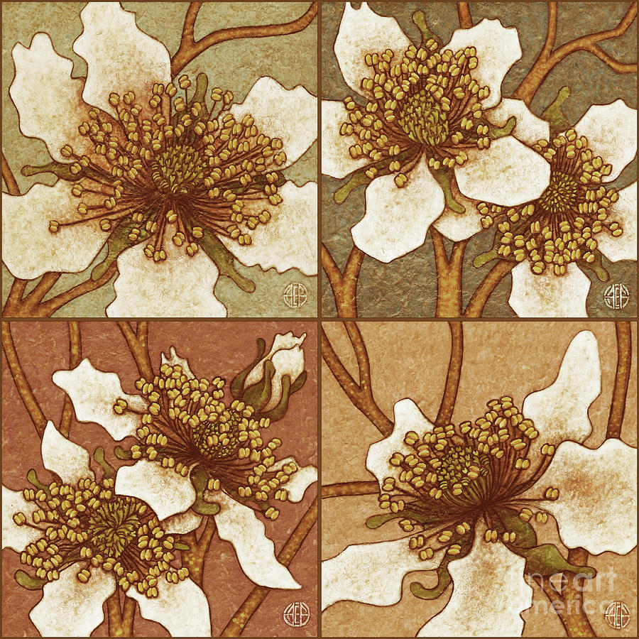 Blackberry Blossom Set 2 Sunbaked Shades Painting by Amy E Fraser