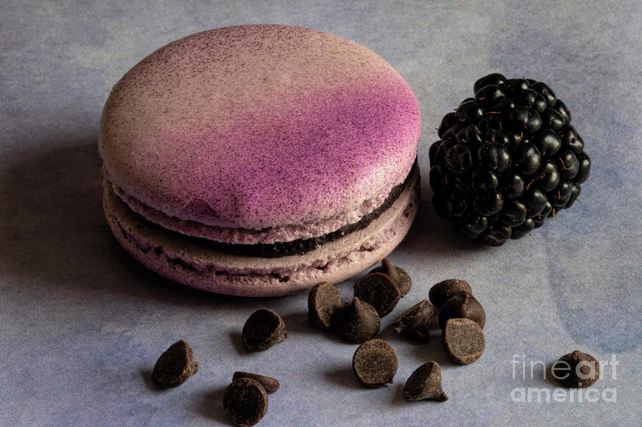 Cookie Photograph - Blackberry Chocolate Macaron by Elisabeth Lucas