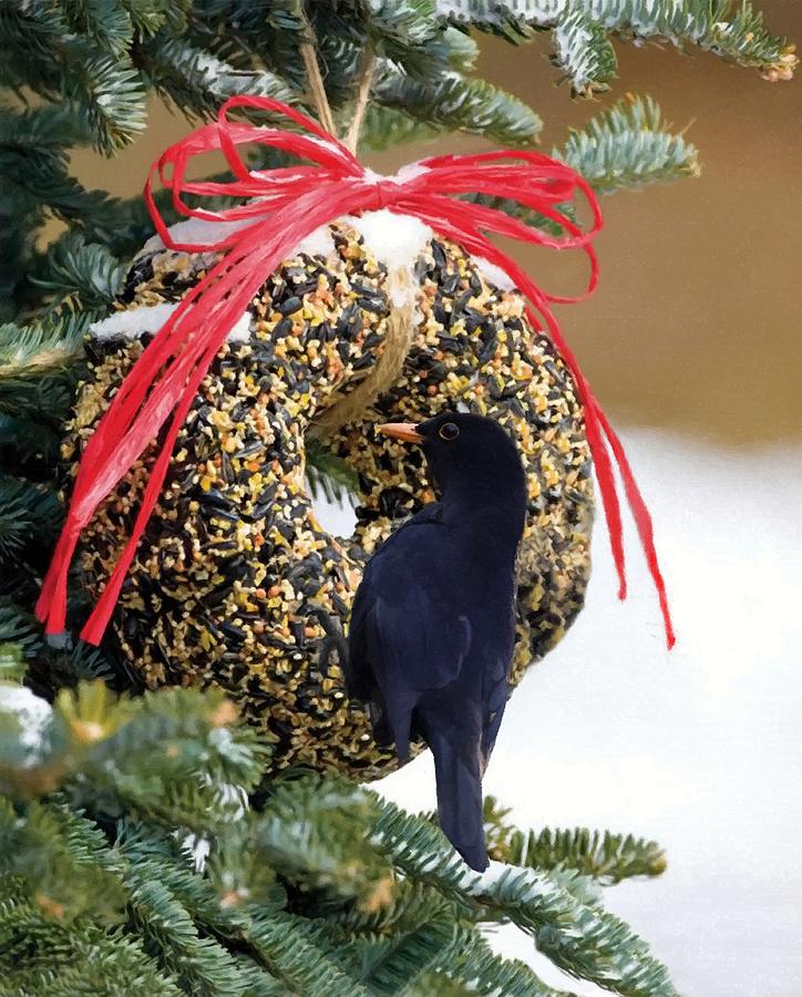 Blackbird On A Bird Seed Ornament Photograph by Sandi OReilly