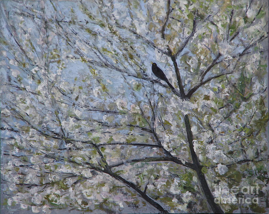 Blackbird Singing In Cherry Blossom Painting by Ruth Addinall