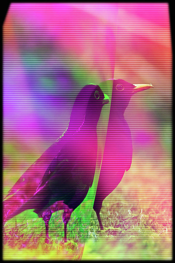 Blackbird trippy Glitch Art Digital Art by Matthias Hauser
