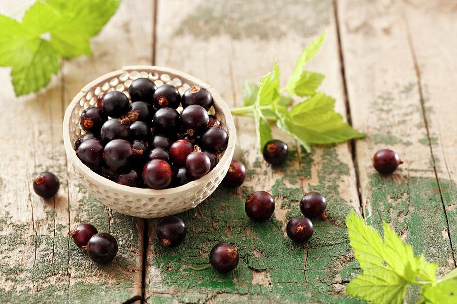 Blackcurrants And Blackcurrant Leaves Photograph by Petr Gross