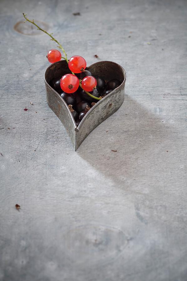 Blackcurrants And Redcurrants In A Heart-shaped Cutter Photograph by Susan Brooks-dammann