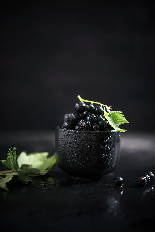 Blackcurrants In A Black Bowl Photograph by Kati Neudert