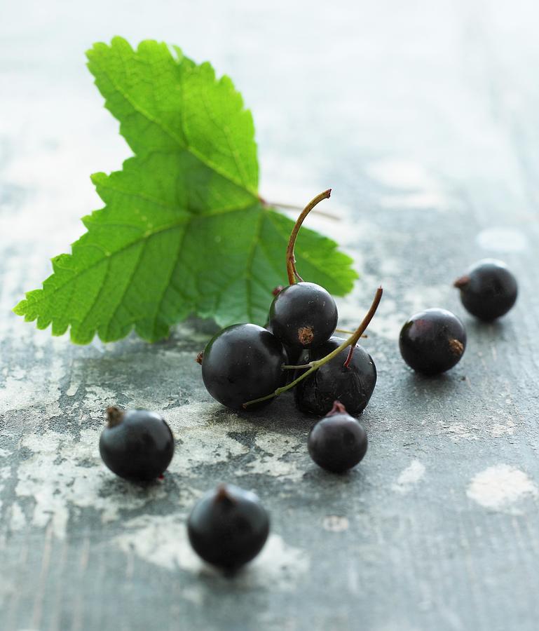 Blackcurrants With Leaves close-up Photograph by Mikkel Adsbl
