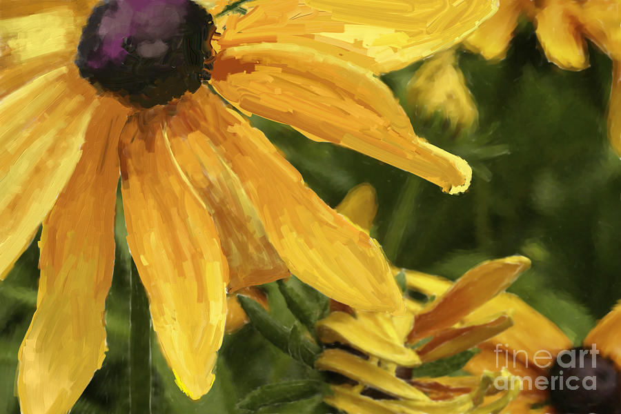 Blackeyed Susan Painting by Kathy Strauss