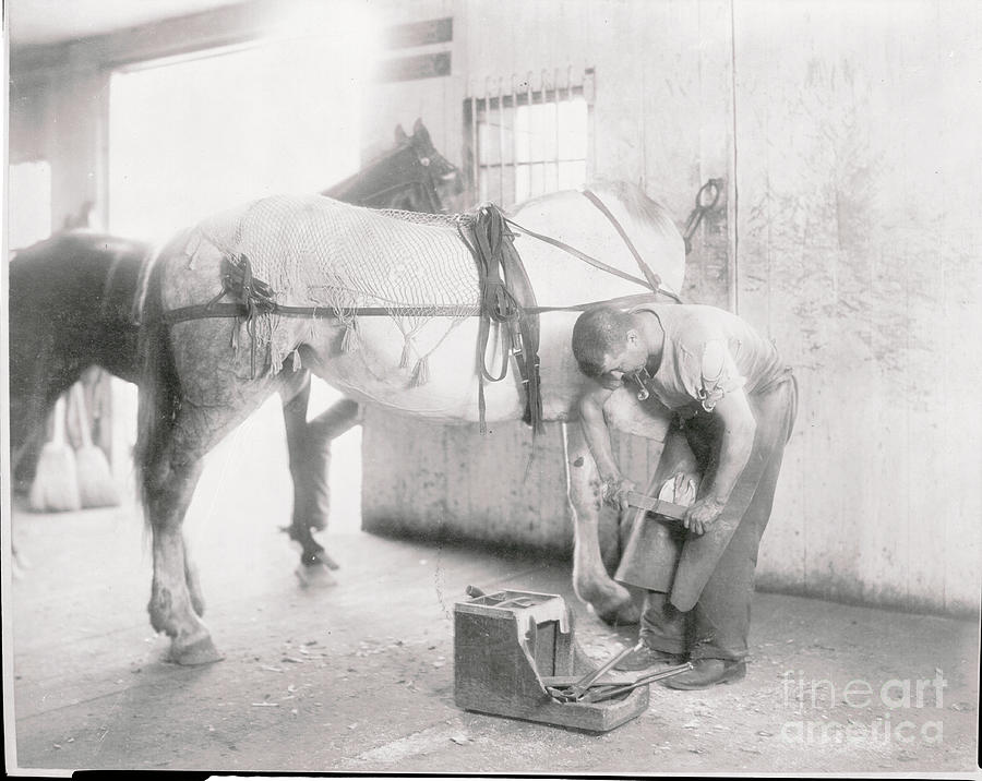 Blacksmith Making Horseshoes Photograph by Bettmann