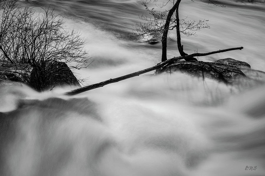 Black And White Photograph - Blackstone River XXXI BW by David Gordon