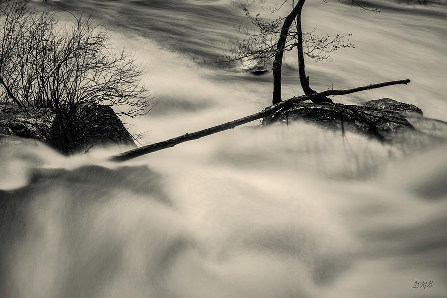 Blackstone River XXXI Toned Photograph by David Gordon