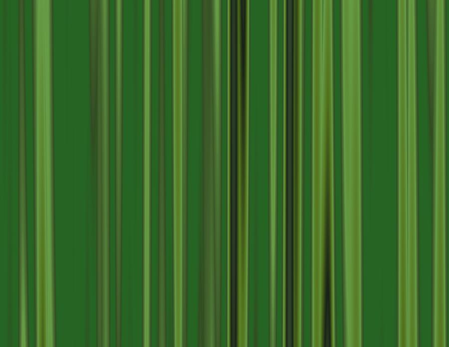 Blades Of Grass Digital Art by Jeff Iverson