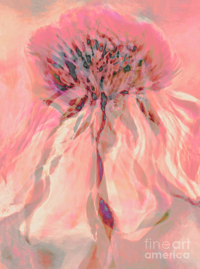 Flower Photograph - Blankets Bad Hair Day by Banyan Ranch Studios Flower Photograph - Blankets Bad Hair Day by Banyan Ranch Studios