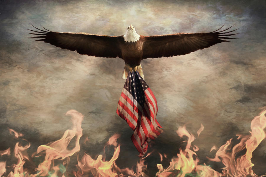 Eagle Mixed Media - Blaze of Glory by Lori Deiter