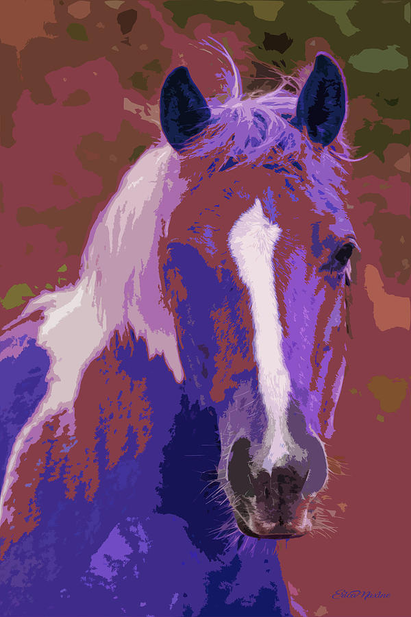 Blaze Profile - Painting by Ericamaxine Price Blaze Profile - Painting by Ericamaxine Price