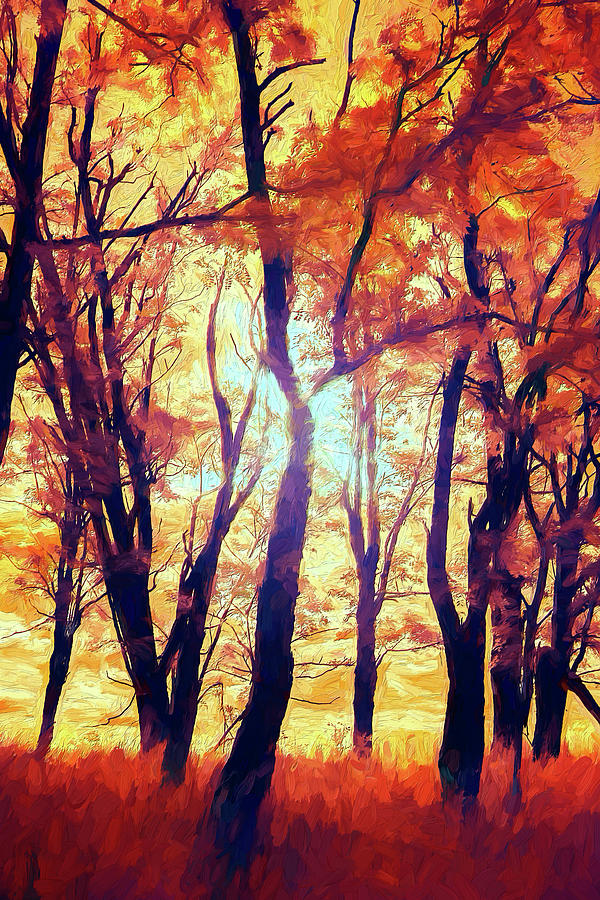 Blazing Fall Colors in the Blue Ridge AP Painting by Dan Carmichael