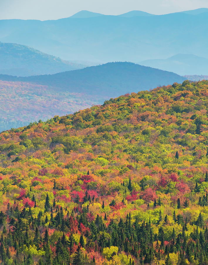 Fall Photograph - Blazing Mountain by Brenda Petrella Photography Llc