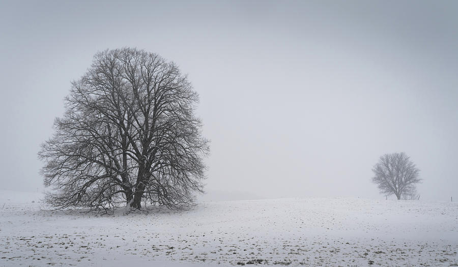 bleak-photograph-by-alan-brown